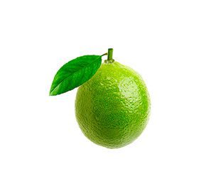 citron-vert-300x272.jpg